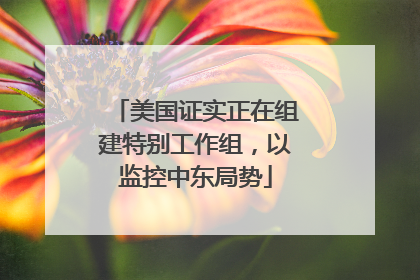 美国证实正在组建特别工作组，以监控中东局势