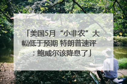 美国5月“小非农”大幅低于预期 特朗普速评：鲍威尔该降息了