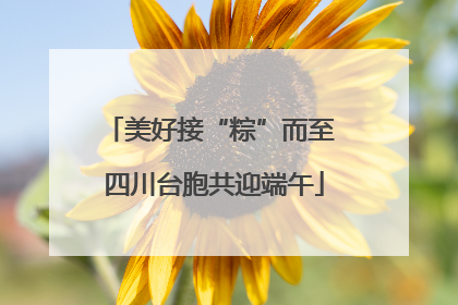 美好接“粽”而至 四川台胞共迎端午