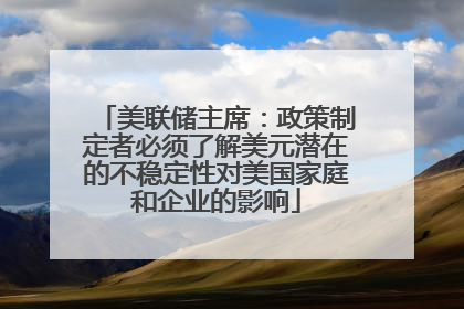 美联储主席：政策制定者必须了解美元潜在的不稳定性对美国家庭和企业的影响