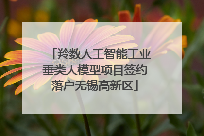 羚数人工智能工业垂类大模型项目签约落户无锡高新区