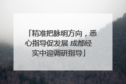 精准把脉明方向，悉心指导促发展 成都经实中迎调研指导