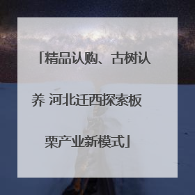 精品认购、古树认养 河北迁西探索板栗产业新模式