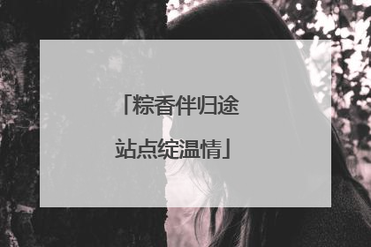 粽香伴归途 站点绽温情