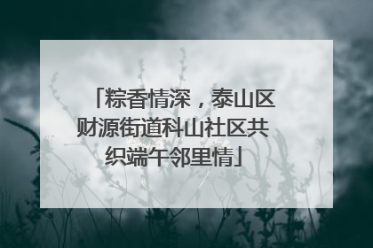 粽香情深，泰山区财源街道科山社区共织端午邻里情