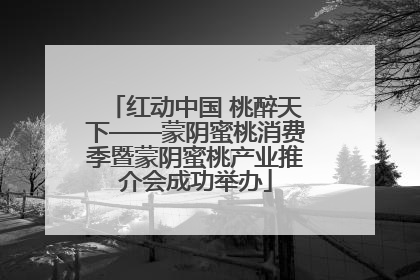 红动中国 桃醉天下——蒙阴蜜桃消费季暨蒙阴蜜桃产业推介会成功举办