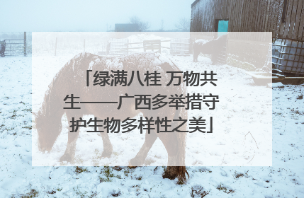 绿满八桂 万物共生——广西多举措守护生物多样性之美