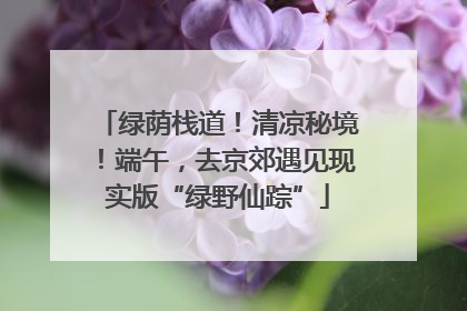 绿荫栈道！清凉秘境！端午，去京郊遇见现实版“绿野仙踪”