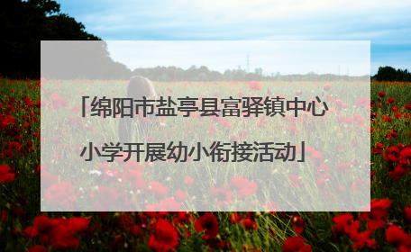 绵阳市盐亭县富驿镇中心小学开展幼小衔接活动