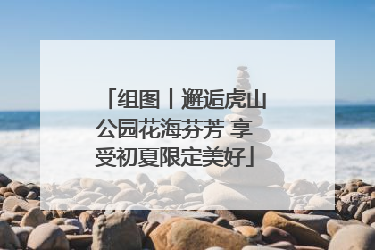 组图丨邂逅虎山公园花海芬芳 享受初夏限定美好