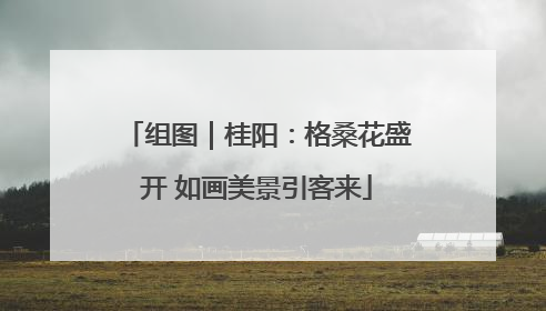 组图｜桂阳：格桑花盛开 如画美景引客来