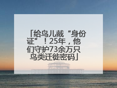 给鸟儿戴“身份证”！25年，他们守护73余万只鸟类迁徙密码