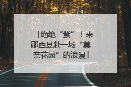 绝绝“紫”！来郧西县赴一场“莫奈花园”的浪漫