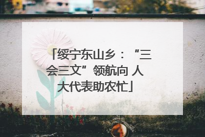 绥宁东山乡：“三会三文”领航向 人大代表助农忙