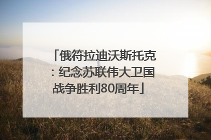 俄符拉迪沃斯托克：纪念苏联伟大卫国战争胜利80周年