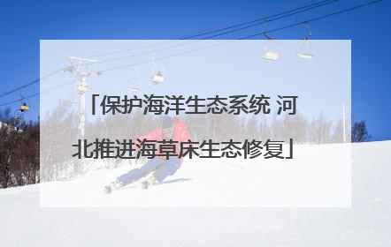 保护海洋生态系统 河北推进海草床生态修复