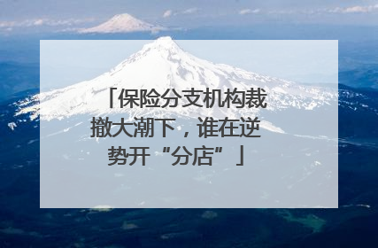 保险分支机构裁撤大潮下，谁在逆势开“分店”