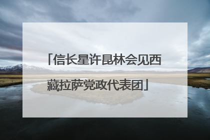 信长星许昆林会见西藏拉萨党政代表团