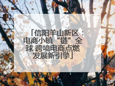 信阳羊山新区：电商小镇“链”全球 跨境电商点燃发展新引擎