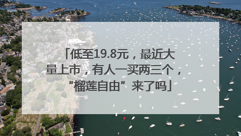 低至19.8元，最近大量上市，有人一买两三个，“榴莲自由”来了吗