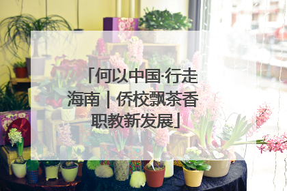 何以中国·行走海南｜侨校飘茶香 职教新发展