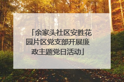 余家头社区安胜花园片区党支部开展廉政主题党日活动