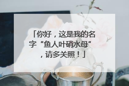 你好，这是我的名字“鱼人叶硝水母”，请多关照！