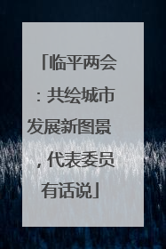 临平两会：共绘城市发展新图景，代表委员有话说