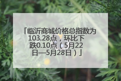 临沂商城价格总指数为103.28点，环比下跌0.10点（5月22日—5月28日）