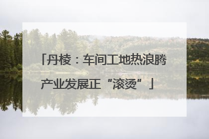 丹棱：车间工地热浪腾产业发展正“滚烫”