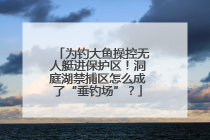 为钓大鱼操控无人艇进保护区！洞庭湖禁捕区怎么成了“垂钓场”？
