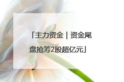 主力资金｜资金尾盘抢筹2股超亿元