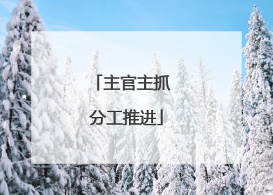 主官主抓 分工推进