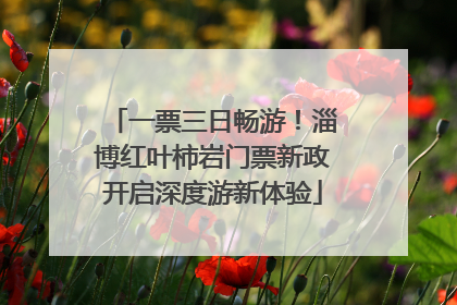 一票三日畅游！淄博红叶柿岩门票新政开启深度游新体验