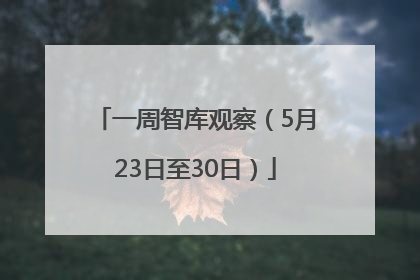 一周智库观察（5月23日至30日）