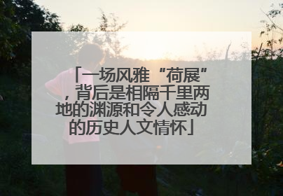 一场风雅“荷展”，背后是相隔千里两地的渊源和令人感动的历史人文情怀