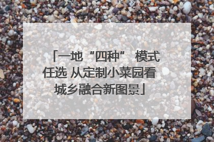 一地“四种” 模式任选 从定制小菜园看城乡融合新图景