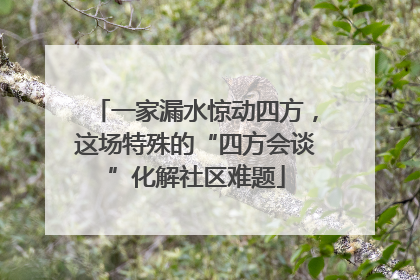 一家漏水惊动四方，这场特殊的“四方会谈”化解社区难题