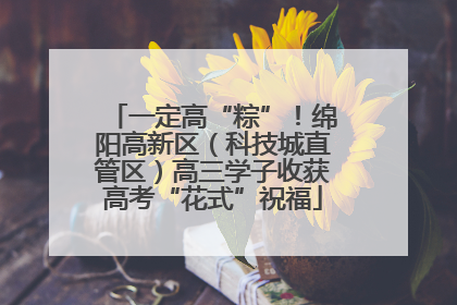 一定高“粽”！绵阳高新区（科技城直管区）高三学子收获高考“花式”祝福