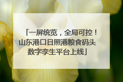 一屏统览，全局可控！山东港口日照港粮食码头数字孪生平台上线