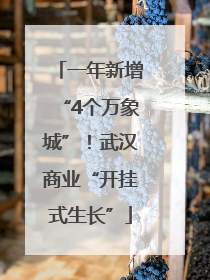 一年新增“4个万象城”！武汉商业“开挂式生长”