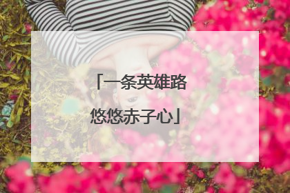 一条英雄路 悠悠赤子心