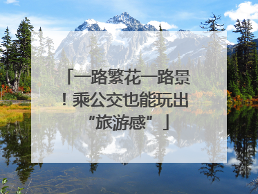 一路繁花一路景！乘公交也能玩出“旅游感”