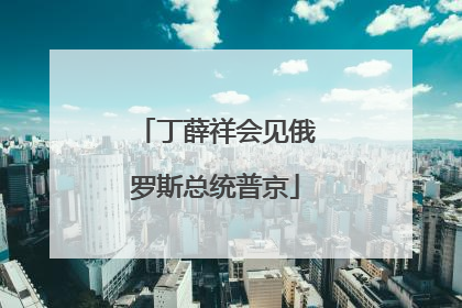 丁薛祥会见俄罗斯总统普京