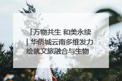万物共生 和美永续｜华侨城云南多维发力 绘就文旅融合与生物多样性保护新图景