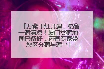 万紫千红开遍，仍留一荷清凉！厦门赏荷地图已备好，还有专家带您区分荷与莲→