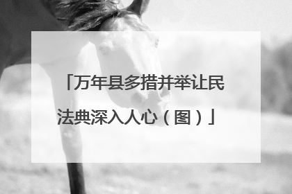 万年县多措并举让民法典深入人心（图）