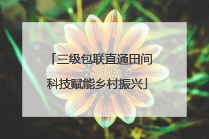 三级包联直通田间 科技赋能乡村振兴