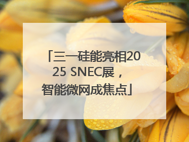 三一硅能亮相2025 SNEC展，智能微网成焦点