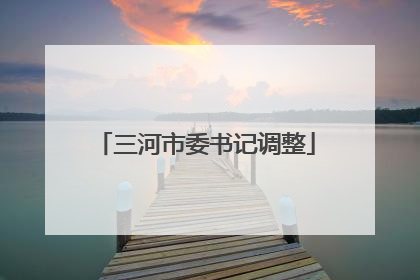 三河市委书记调整